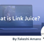 What is Link Juice? Explaining Its Relationship with SEO and PageRank