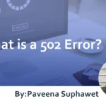 What is a 502 Error? : Explaining Causes and Solutions