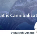 What is Cannibalization? : Explaining its Impact on SEO and Strategies for Cannibalization Mitigation