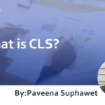 What is CLS? Detailed Explanation of Measurement Methods, Factors of Decline, and Improvement Strategies