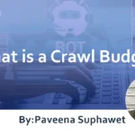 What is a Crawl Budget?  How to Optimize it