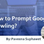 How to Prompt Google Crawling? : Explaining on How to Request