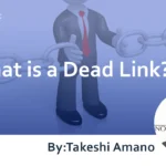 What is a Dead Link?  Explaining Causes, Solutions, and SEO Impact