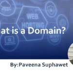 What is a Domain? : Explaining Types and Considerations