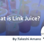 What is Link Juice? Explaining Its Relationship with SEO and PageRank