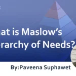 What is Maslow’s Hierarchy of Needs? : Points for Marketing