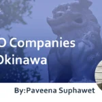 SEO Performance of SEO Companies in Okinawa and Our Company : Pick five companies