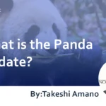 What is the Panda Update? : How to Create a High-Quality Website