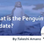 What is the Penguin Update? A Complete Guide to Its Targets and Strategies