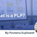 What is a PLP? (Preferred Landing Page)? : Explaining How to Improve When the Page Doesn’t Appear