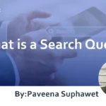 What is a Search Query? : Explanation of Overview and Usage