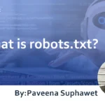 What is robots.txt? : Explaining its purpose and how to write it