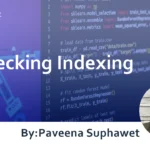 SEO Measures for Beginners 1 : Checking Indexing