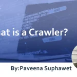 What is a Crawler? Explaining the Mechanism and How to Achieve High SEO Rankings