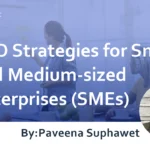 SEO Strategies for Small and Medium-sized Enterprises (SMEs) An Explanation of SEO for Various Company Websites