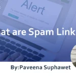 What are Spam Links? Explained in detail