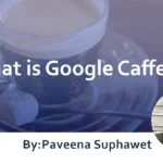 What is Google Caffeine? : Explaining the Overview