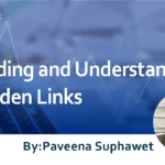 Finding and Understanding Hidden Links ~Explaining Their Impact on SEO~