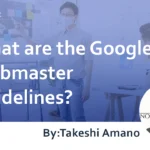 What are the Google Guidelines? : For Webmaster